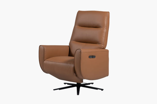 Fernsby Leather Recliner Chair